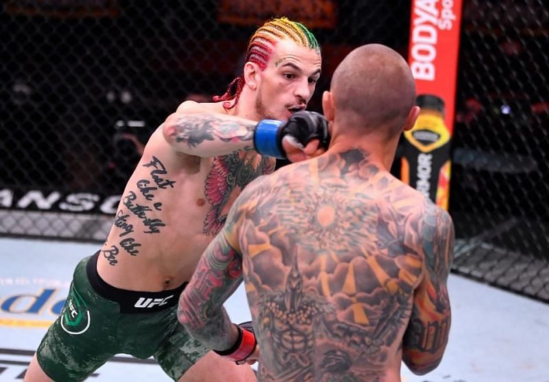 Sean O&#039;Malley needed just one punch to render Eddie Wineland unconscious at UFC 250