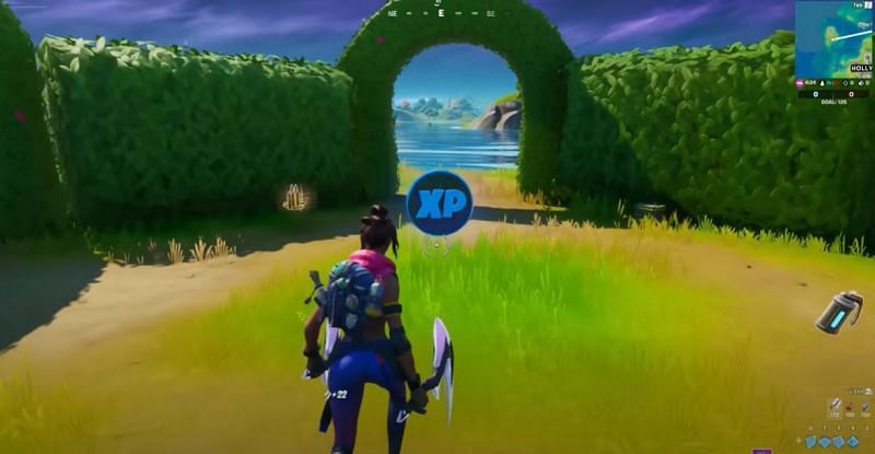 Blue XP coin at Holly Hedges (Image Credits: Everyday Fortnite)