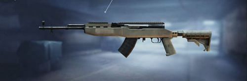 SKS