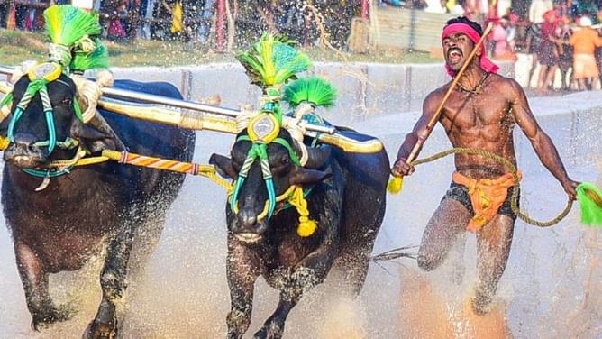 Indigenous Games: Why they could be the game changer in Indian sport