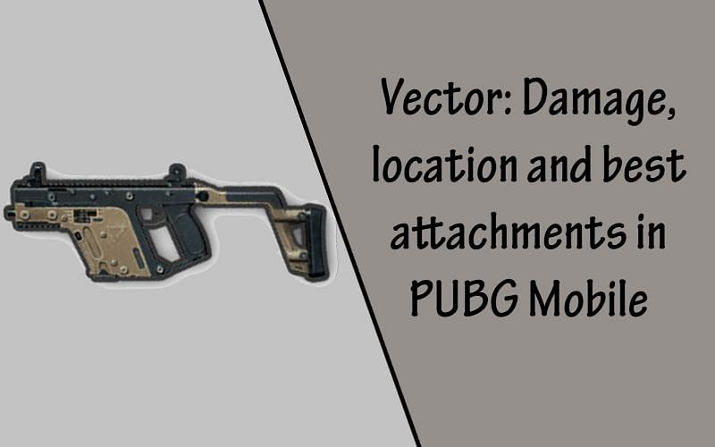 PUBG Mobile vector: Damage, location and best attachments (Picture Source: PUBG Gamepedia)