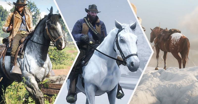 Best horses in Red Dead Online (Image Courtesy: Screen Rant)