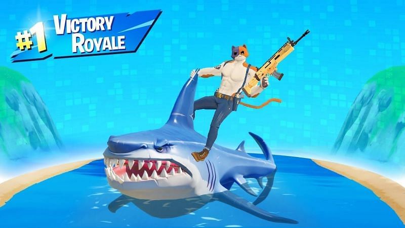 Lachlan organised an exclusive Shark Battle Royale!