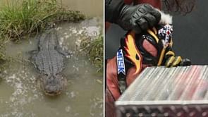 WWE Extreme Rules 2020 Last minute rumors: Real reptiles in swamp fight, Details on Eye for an Eye match