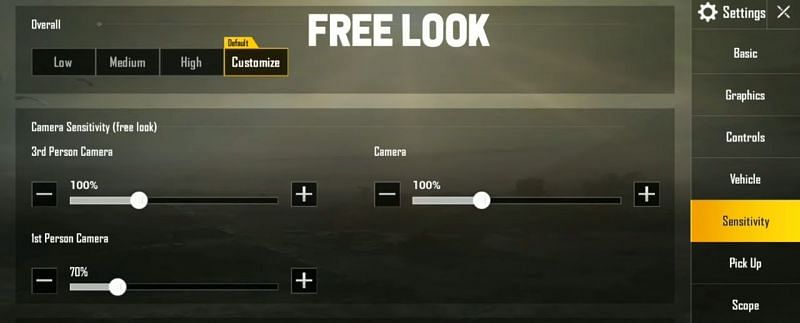 Free look settings