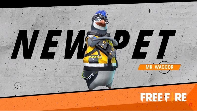 Mr Waggor would be an upcoming pet in Free Fire&nbsp;(Image Credit: Free Fire India/YT)