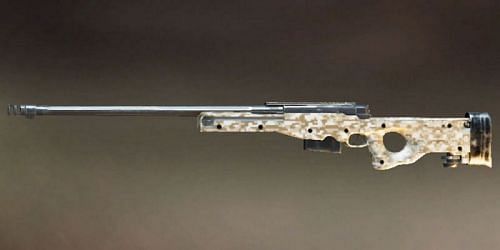 AWM (Picture Courtesy: zilliongamer.com)
