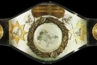 WWF North American Heavyweight Championship