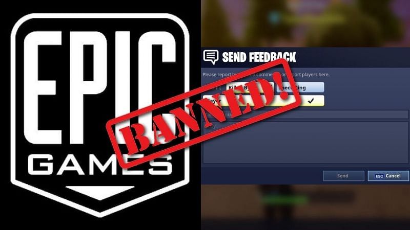 Weird Account Bans in Fortnite (Image Credits: PrimalGN)