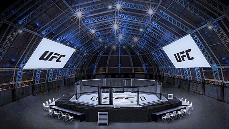 Which UFC Division has shined best under the sun of Fight Island?