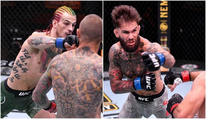 Cody Garbrandt has put Sean O&#039;Malley on notice