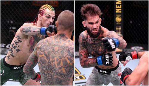 Cody Garbrandt has put Sean O'Malley on notice