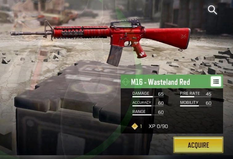 M16-Wasteland Read (Picture Courtesy: RI0T Gaming/YT)