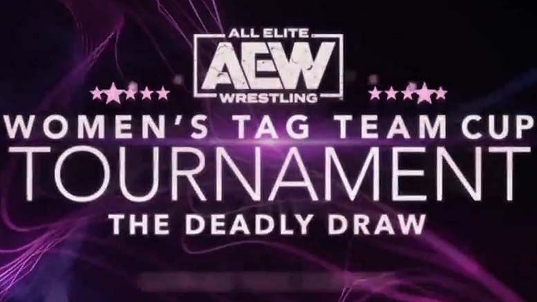 Ivelisse has discovered who were tag team partner will be in AEW Women&#039;s Tag Team Cup Tournament