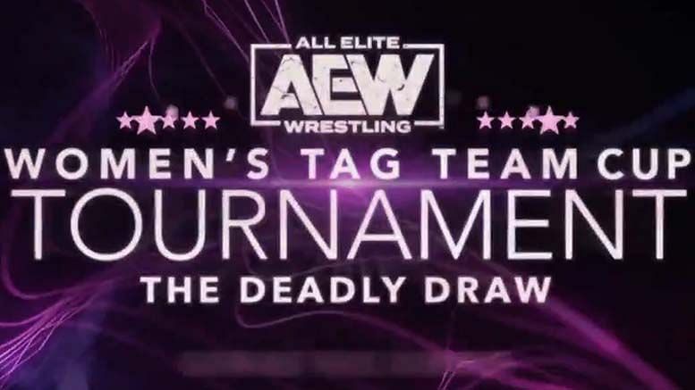 Ivelisse has discovered who were tag team partner will be in AEW Women&#039;s Tag Team Cup Tournament
