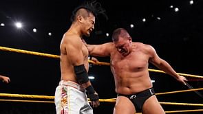 10 wrestling moves that are more painful than they actually look