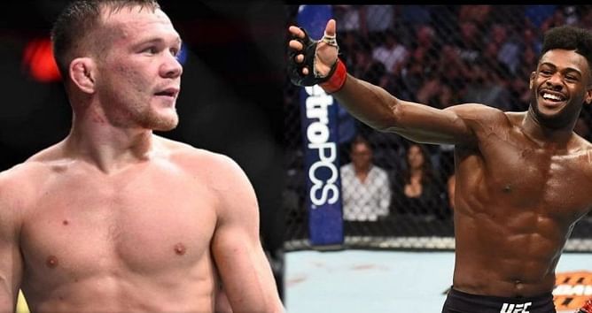 Dana White confirms Aljamain Sterling as the next UFC Bantamweight Title challenger