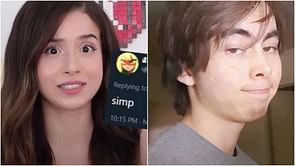Pokimane simp writes an essay on LeafyIsHere