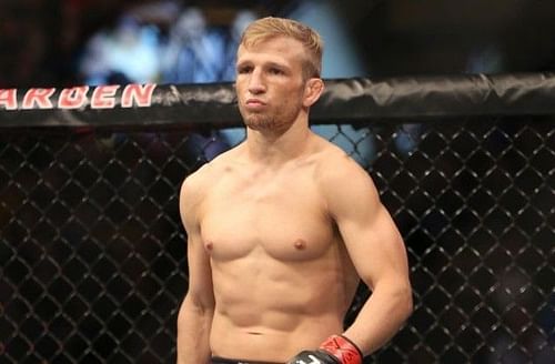 TJ Dillashaw