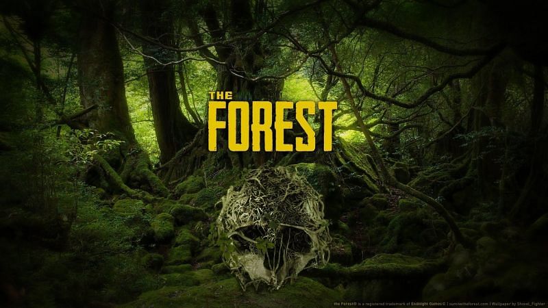 The Forest. Image: Wallpaper Abyss - Alpha Coders.