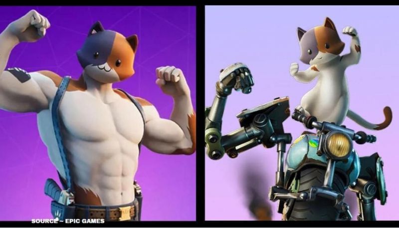 fortnite cat plush