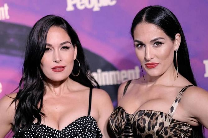 Many WWE Superstars offer Brie Bella and Nikki Bella parenting advice