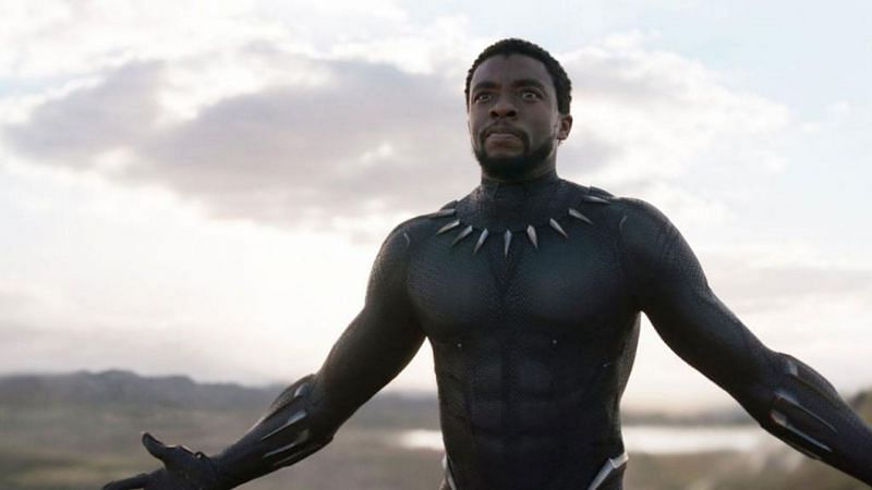 Chadwick Boseman as the Black Panther.