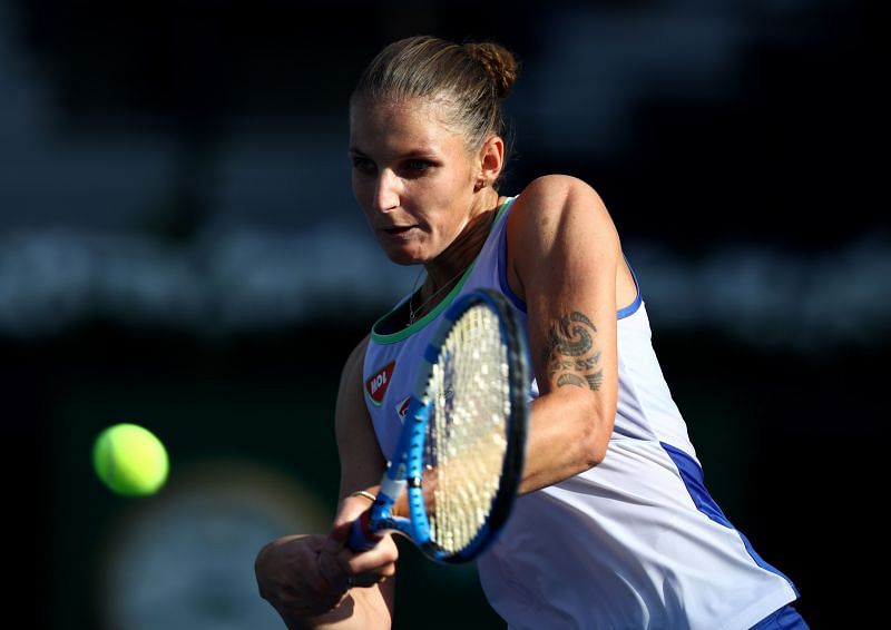 Karolina Pliskova is expected to make short work of her opponent