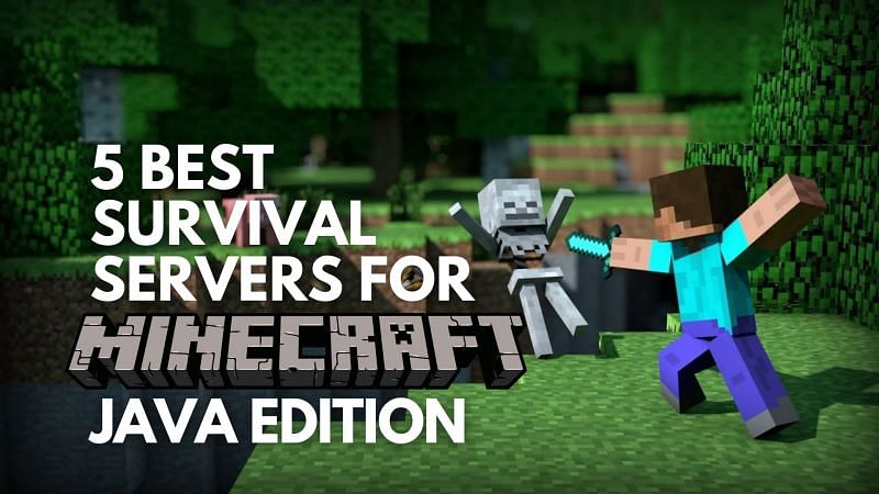 5 Best Survival Servers For Minecraft Java Edition