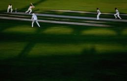 IPL 2020: Sharjah Cricket Stadium pitch report ahead of CSK vs RR