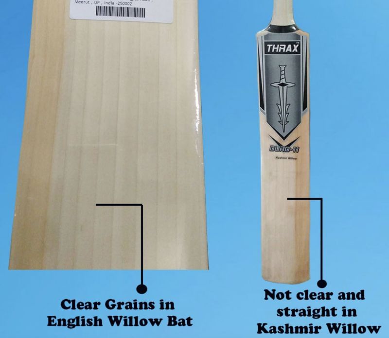 The differences between Kashmir willows and English willows