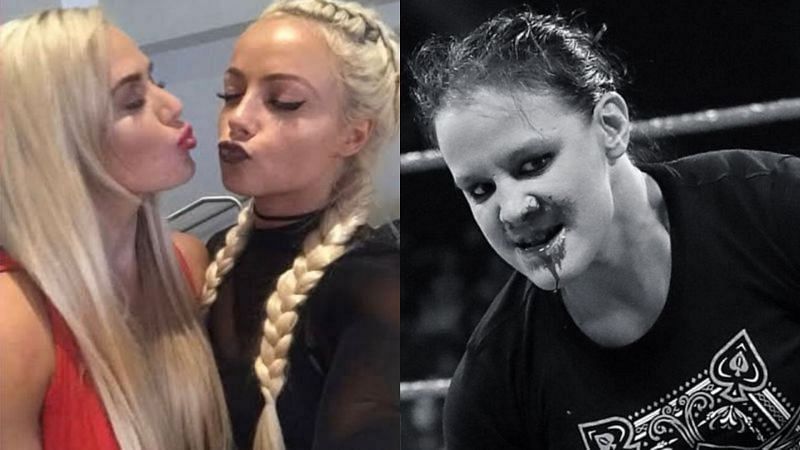 Lana and Liv Morgan (left); Shayna Baszler (right)