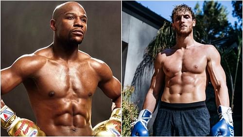 Logan Paul is rumoured to take on Floyd Mayweather.