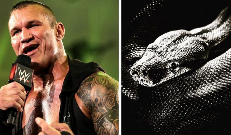 Randy Orton finally reveals what he was teasing about for around a week now