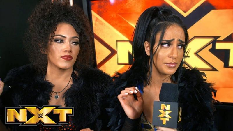 While Aliyah (right) is still in NXT, Borne (left) hasn&#039;t been on TV since the start of 2020.
