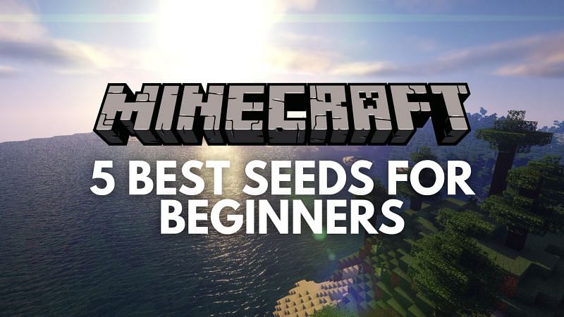 Best Minecraft seeds for beginners