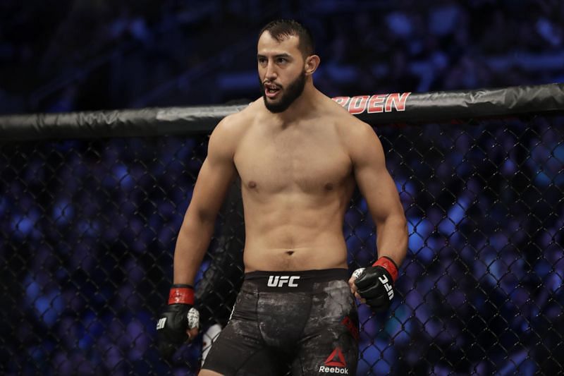 Can Dominick Reyes become the UFC&#039;s new Light Heavyweight kingpin?