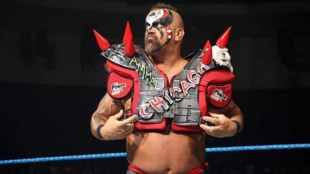 Road Warrior Animal