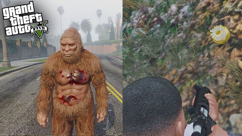 GTA Online Peyote plant locations 2020 - How to turn into animals, Bigfoot,  Chop