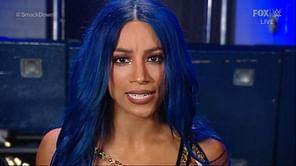 Sasha Banks vs Bayley stipulation match for Hell in a Cell officially revealed