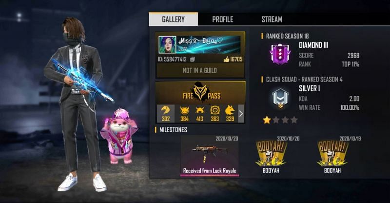 BlackPink Gaming&rsquo;s Free Fire ID number