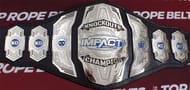 Impact Wrestling Champions