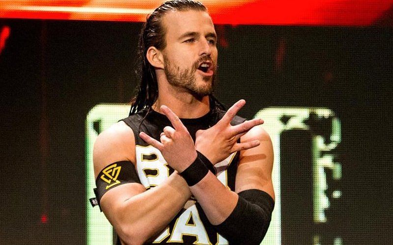 Adam Cole has been a spectacular part of the WWE NXT roster