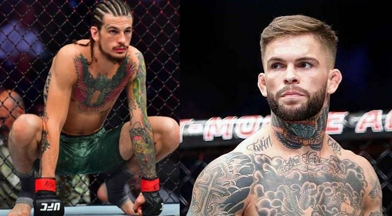 Sean O&#039;Malley and Cody Garbrandt continue taking jibes at one another