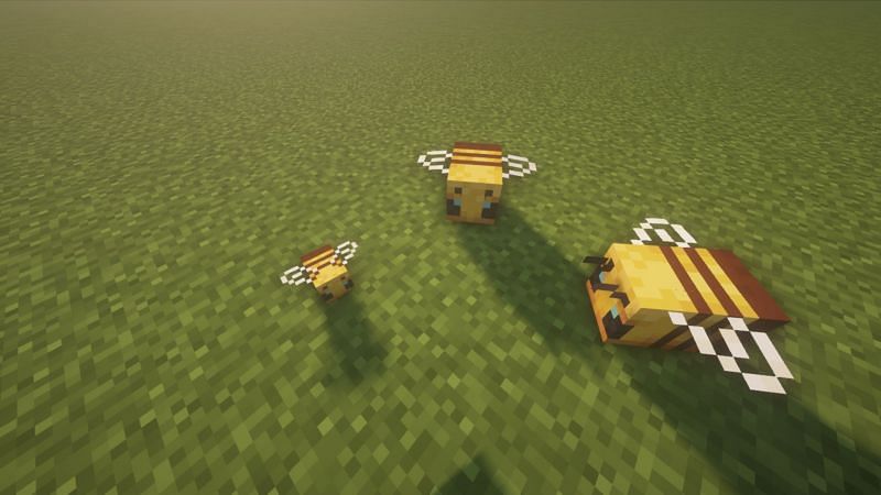 A baby bee with it&#039;s buzzing parents (Image via Minecraft)