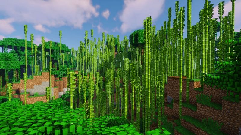 Top 5 Minecraft Bedrock Edition jungle seeds