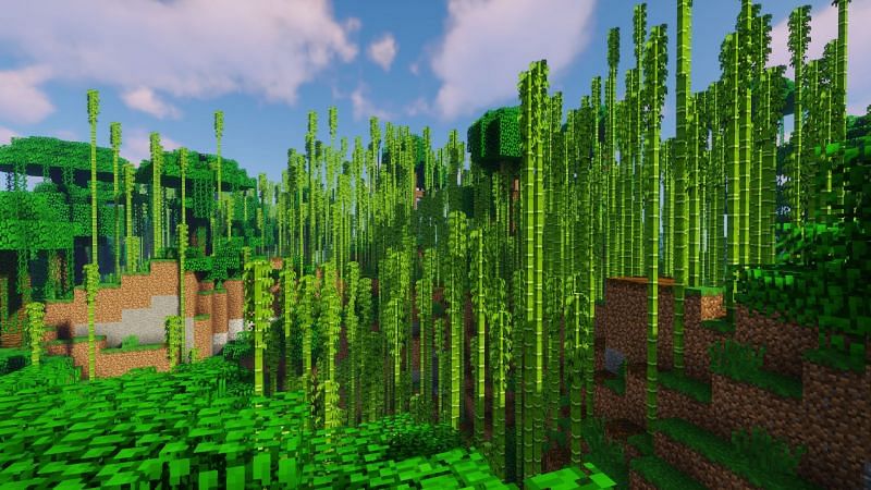 Top 5 Minecraft Bedrock Edition Jungle Seeds