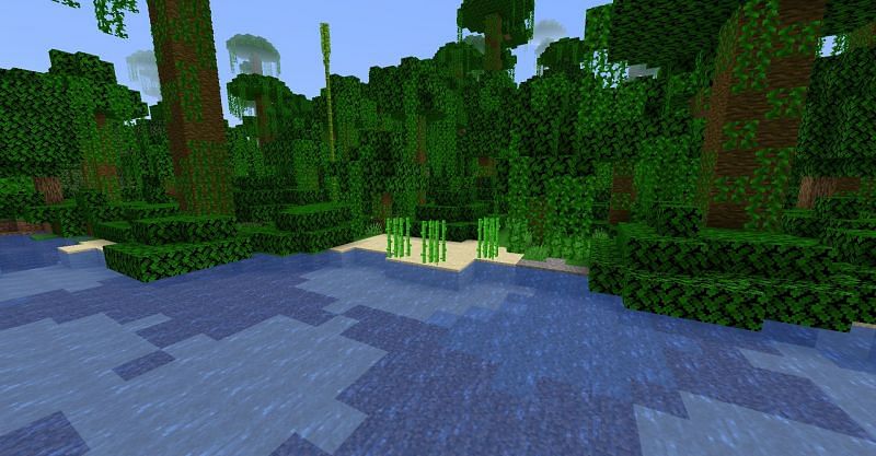 Sugarcane image taken from Minecraft