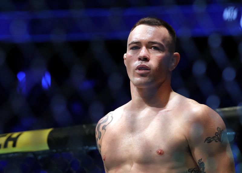 UFC welterweight Colby Covington