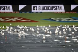 NZ vs WI: तीसरा टी20 बारिश के कारण रद्द, न्यूजीलैंड ने 2-0 से जीती सीरीज